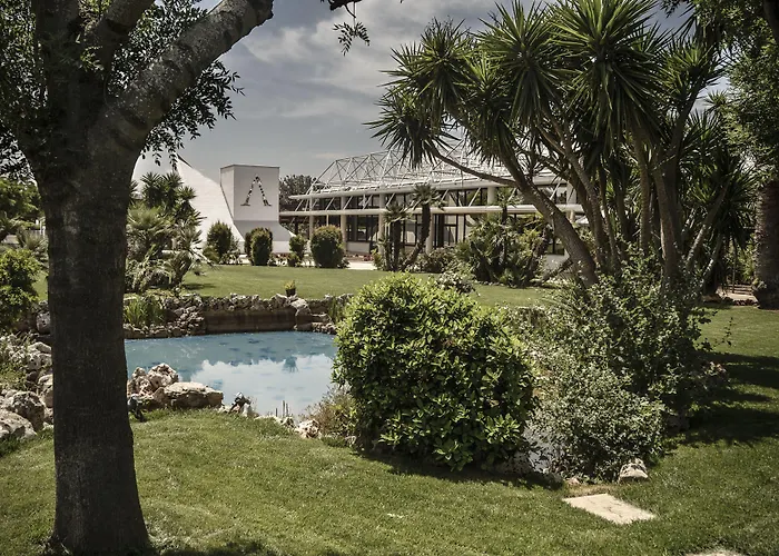 D'aragona Lifestyle קונברסאנו